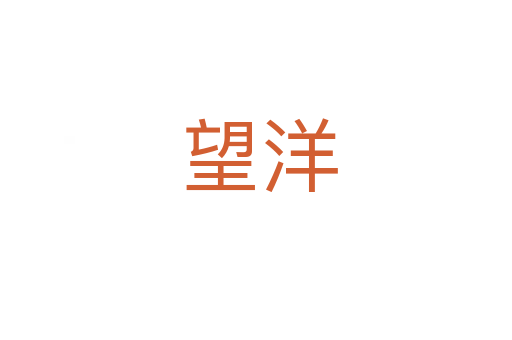 望洋