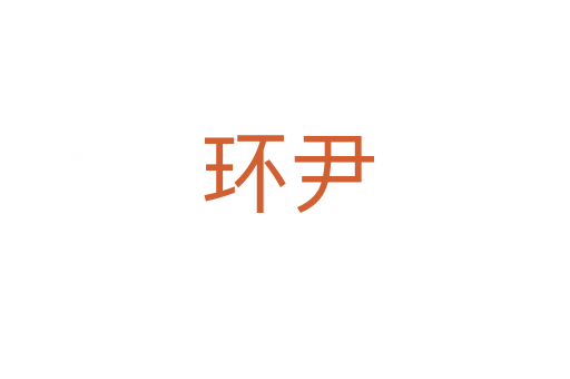 环尹