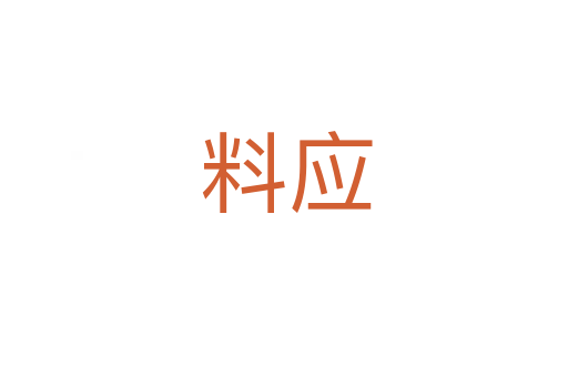 料应