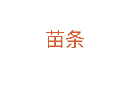 苗条