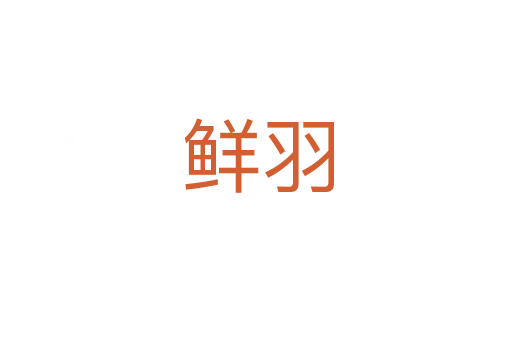鲜羽