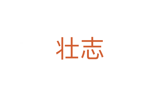 壮志
