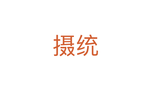 摄统