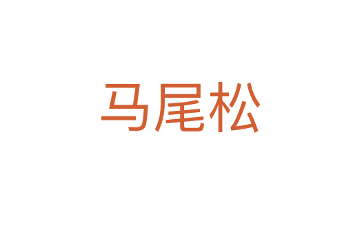 马尾松