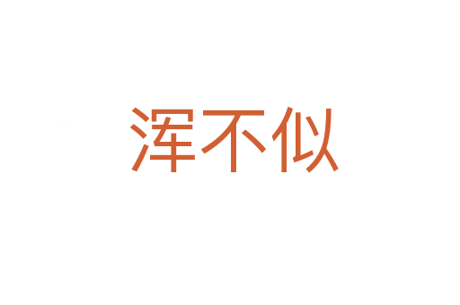 浑不似