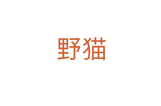 野猫