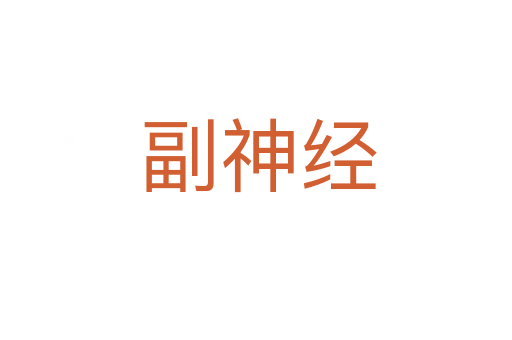 副神经