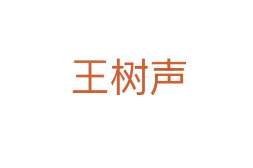 王树声