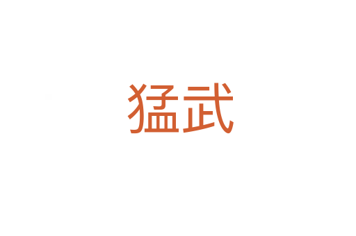 猛武