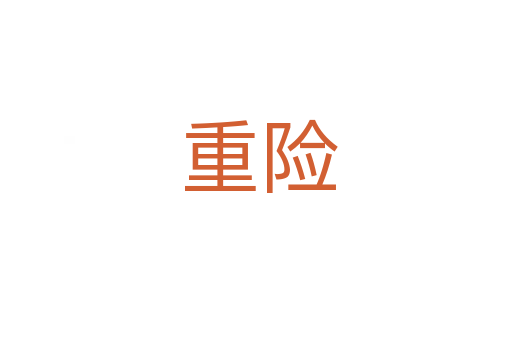 重险