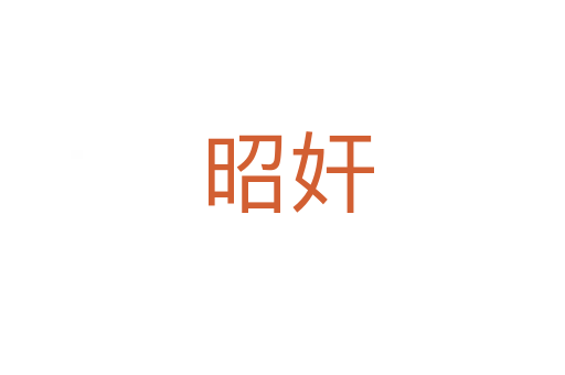 昭奸