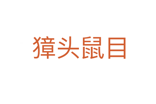 獐头鼠目