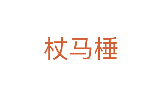 杖马棰