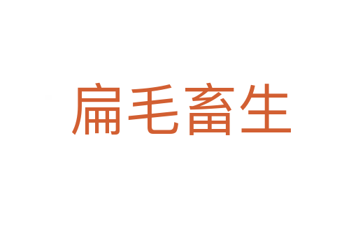 扁毛畜生