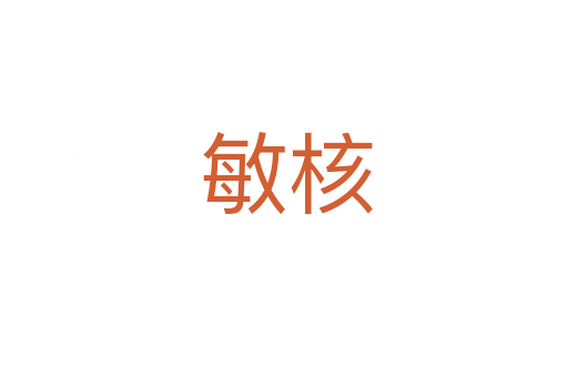 敏核