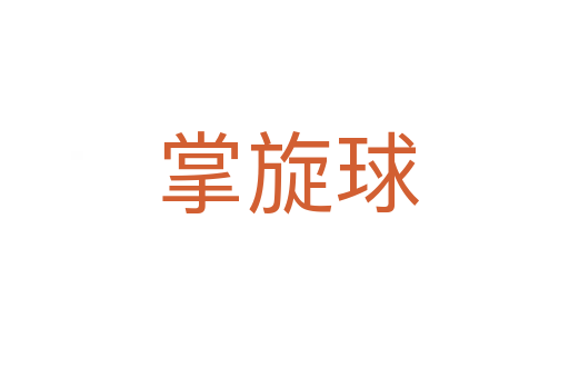 掌旋球