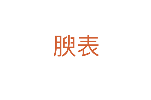 腴表
