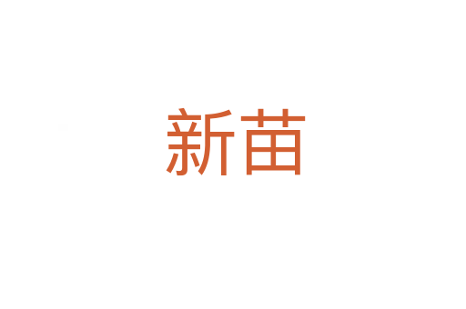 新苗