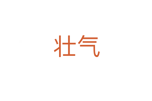 壮气