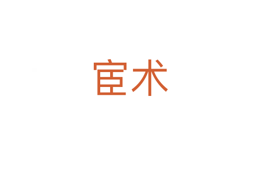 宦术