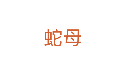 蛇母