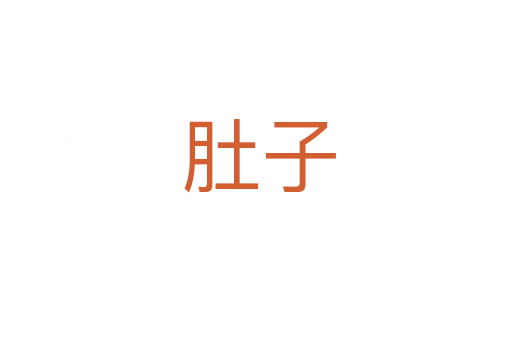 肚子