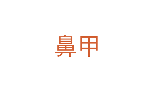 鼻甲