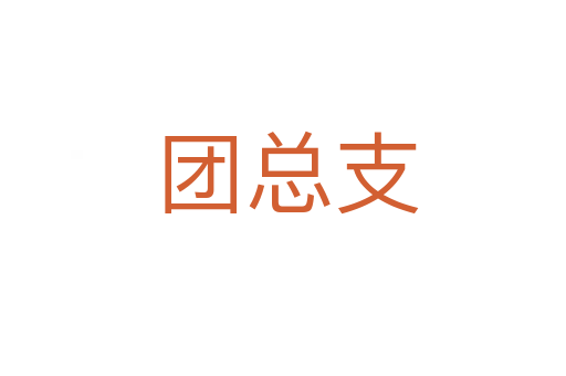 团总支