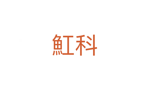 魟科