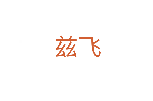 兹飞