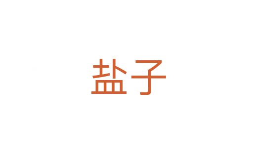 盐子