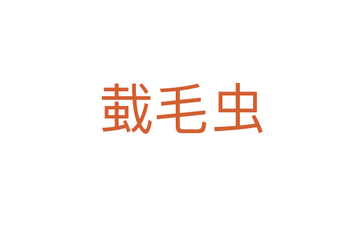 蛓毛虫