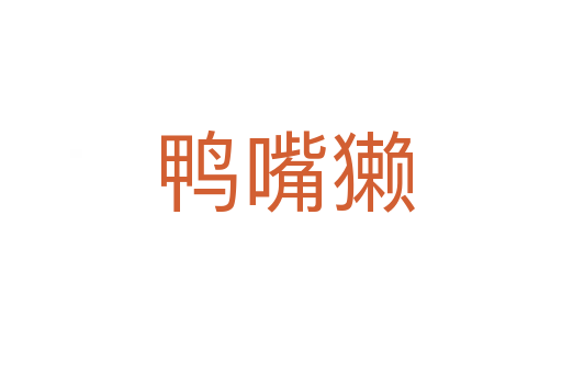 鸭嘴獭