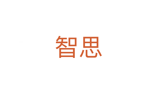 智思