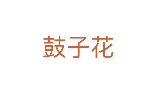 鼓子花