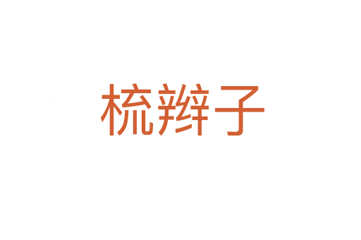 梳辫子