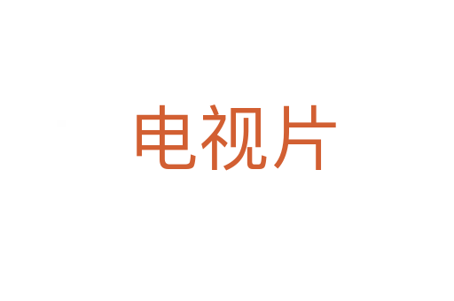 电视片