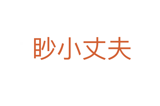 眇小丈夫