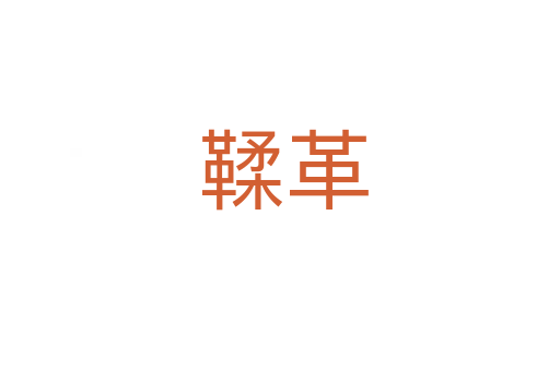 鞣革