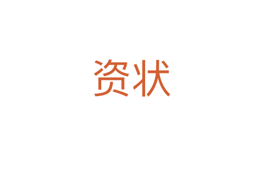 资状
