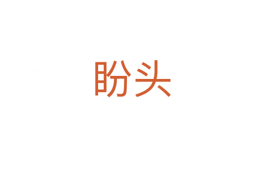 盼头