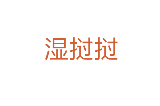 湿挝挝