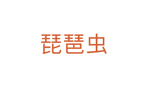琵琶虫