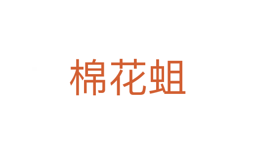 棉花蛆