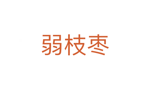 弱枝枣