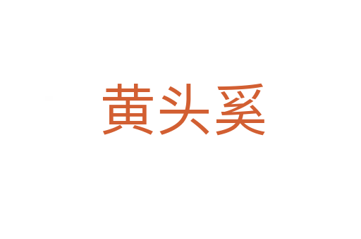 黄头奚