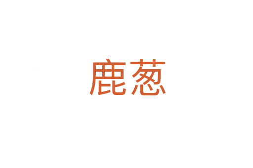 鹿葱