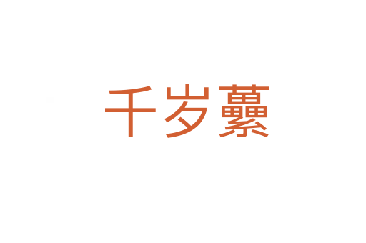 千岁虆