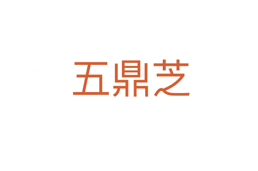 五鼎芝