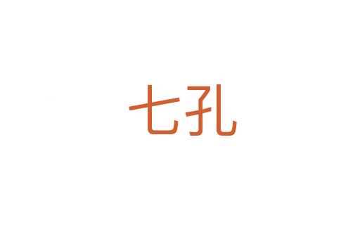 七孔